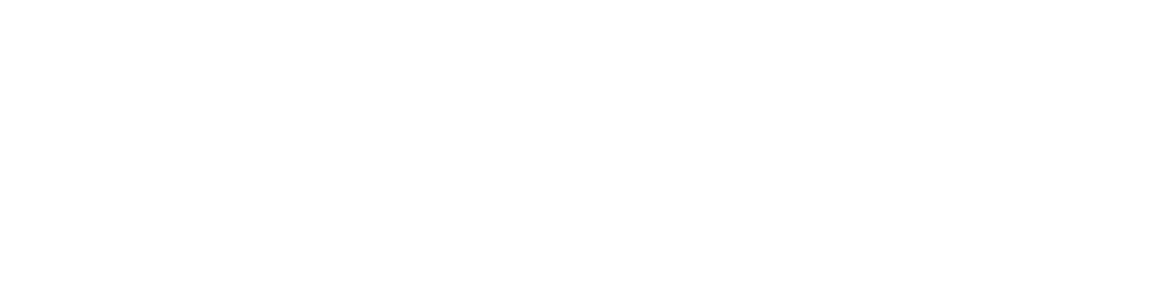Brink-Motorsport_2022_wht